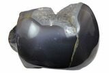 Polished Agate Skull with Quartz Crystal Pocket #148087-1